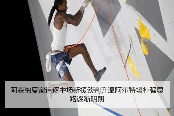 阿森纳夏窗追逐中场新援谈判升温阿尔特塔补强思路逐渐明朗