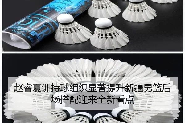 赵睿夏训持球组织显著提升新疆男篮后场搭配迎来全新看点